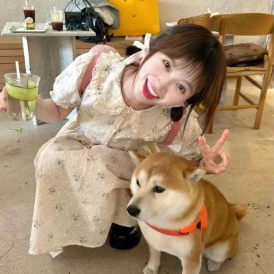 流血的房子
