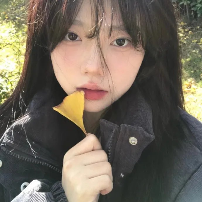 见习修女
